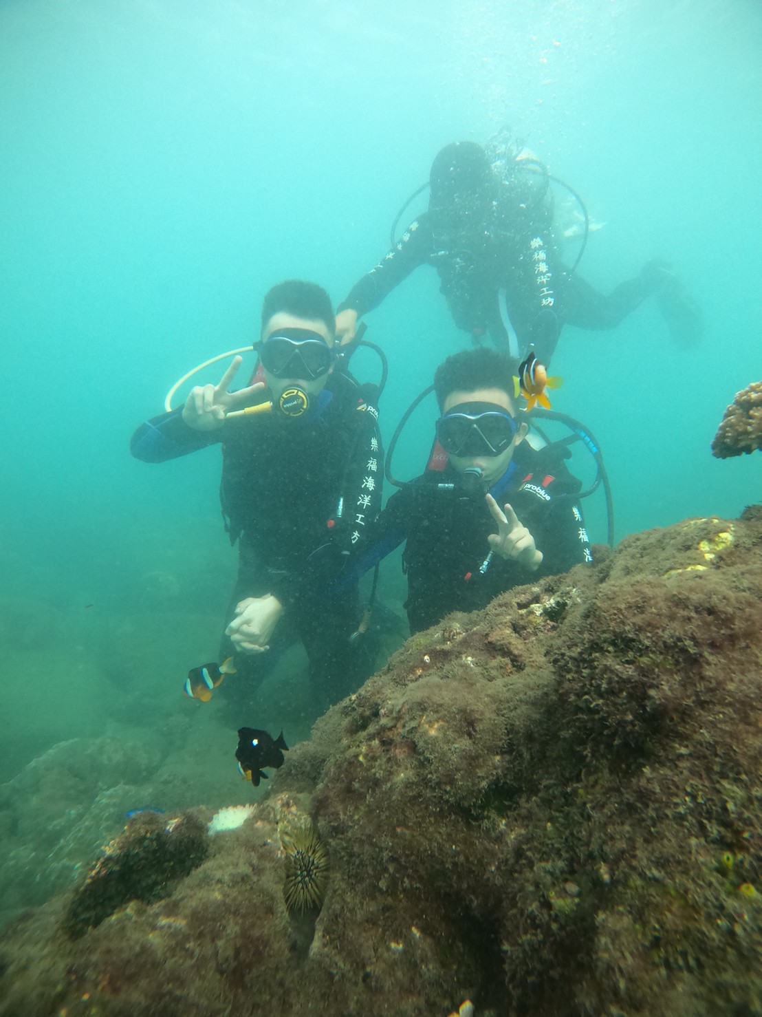 澎湖旅遊-體驗潛水(無證照)